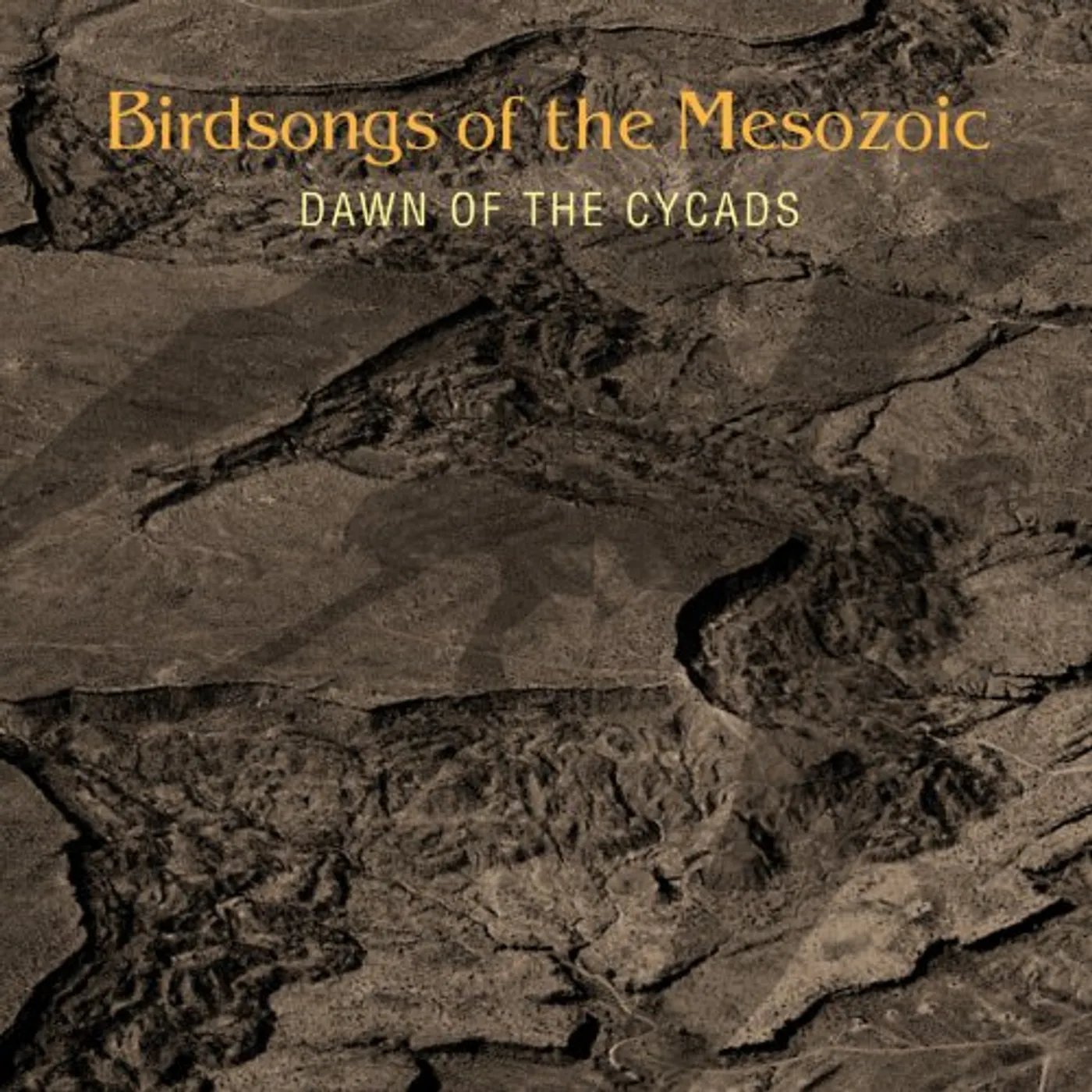 Birdsongs of the Mesozoic DAWN OF THE CYCADS CD