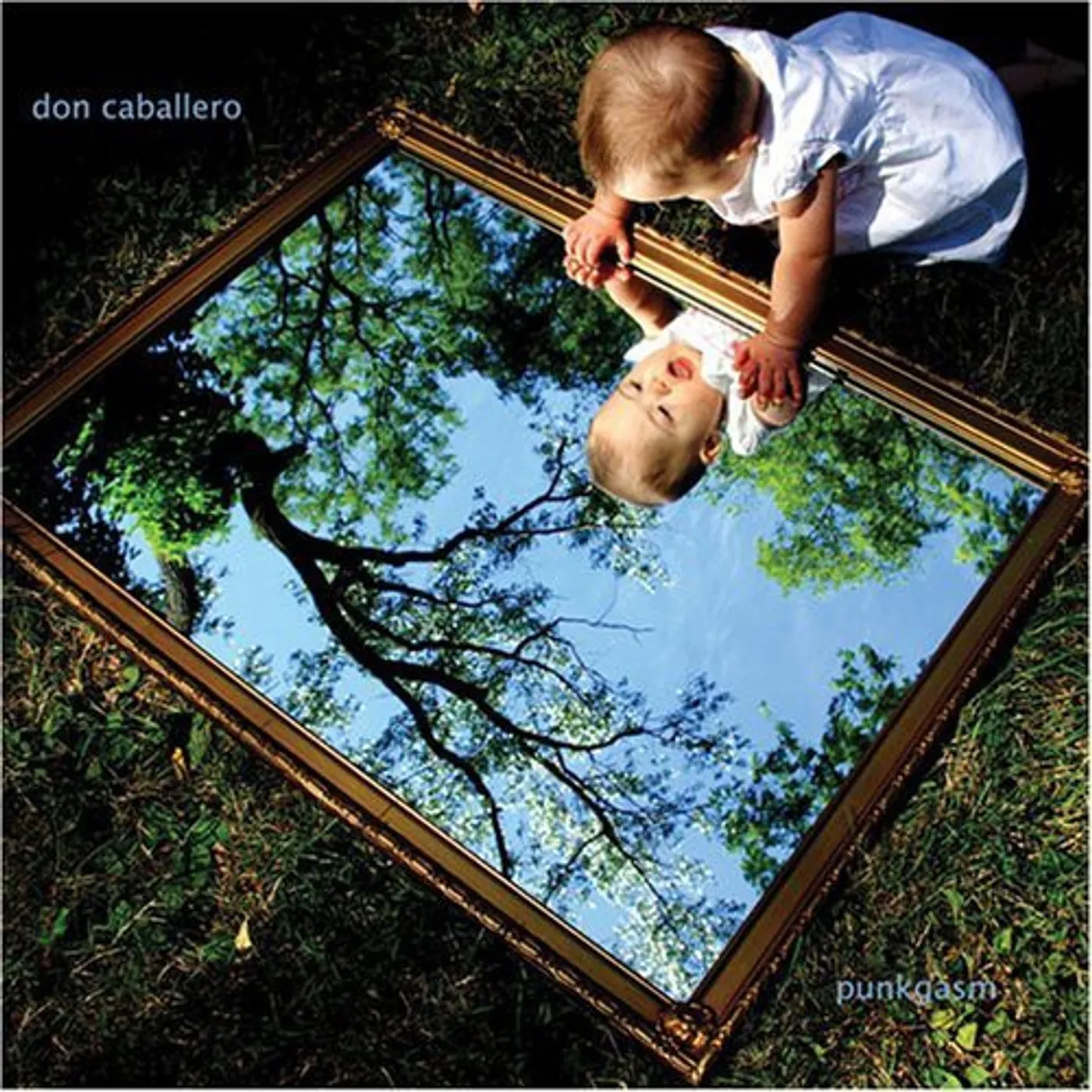 Don Caballero PUNKGASM CD