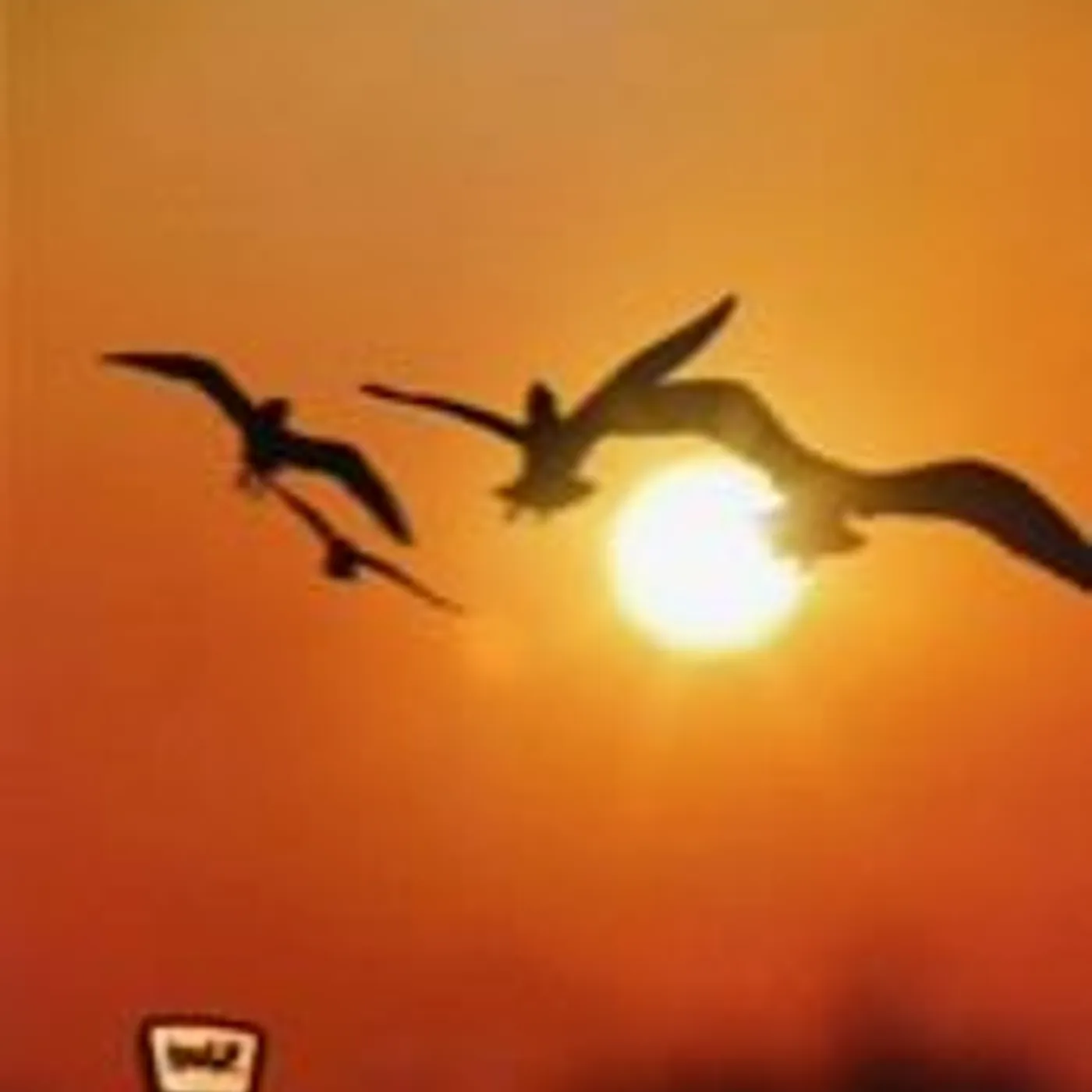 175R HATENAKI ASUHETO CD