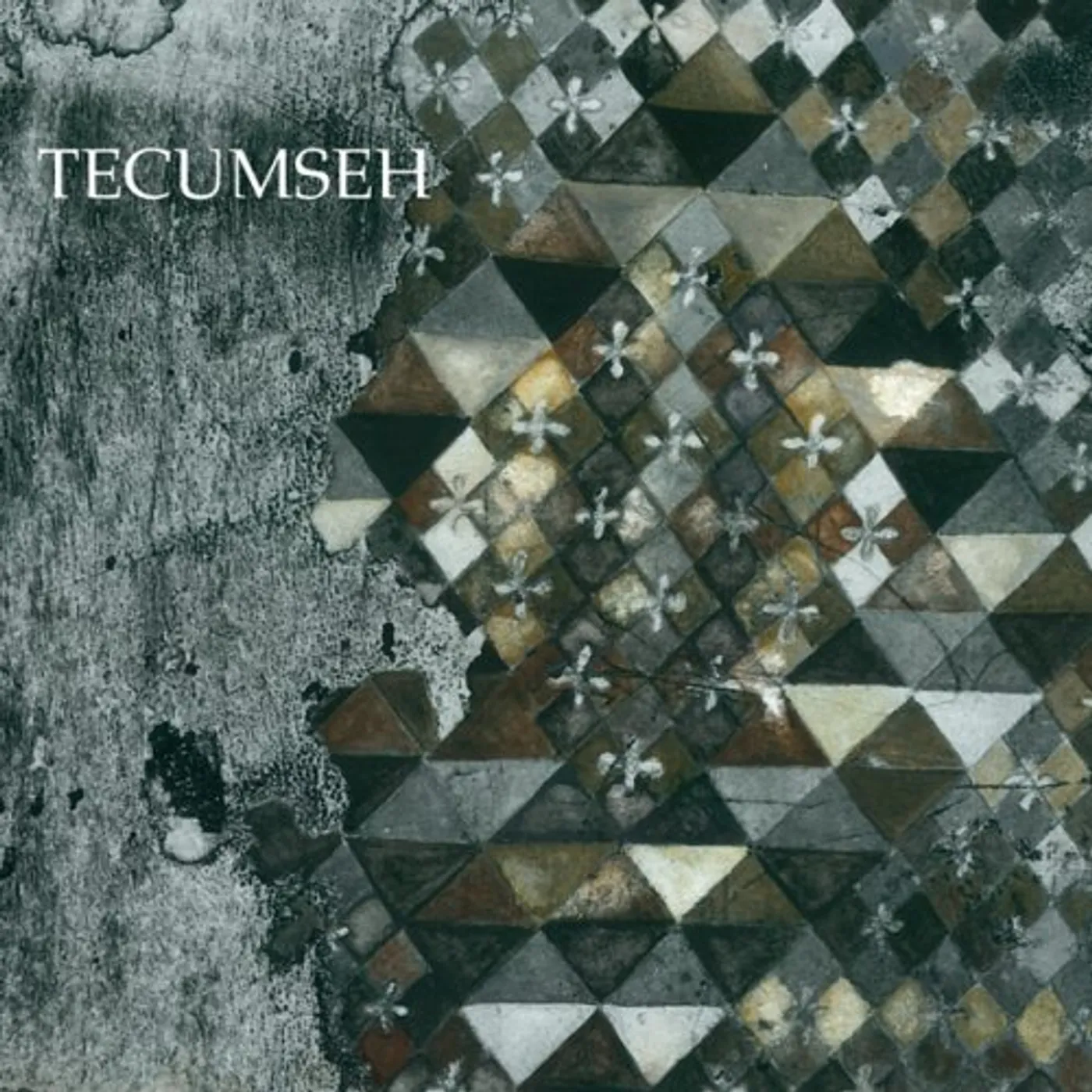 Tecumseh AVALANCHE & INUNDATION CD