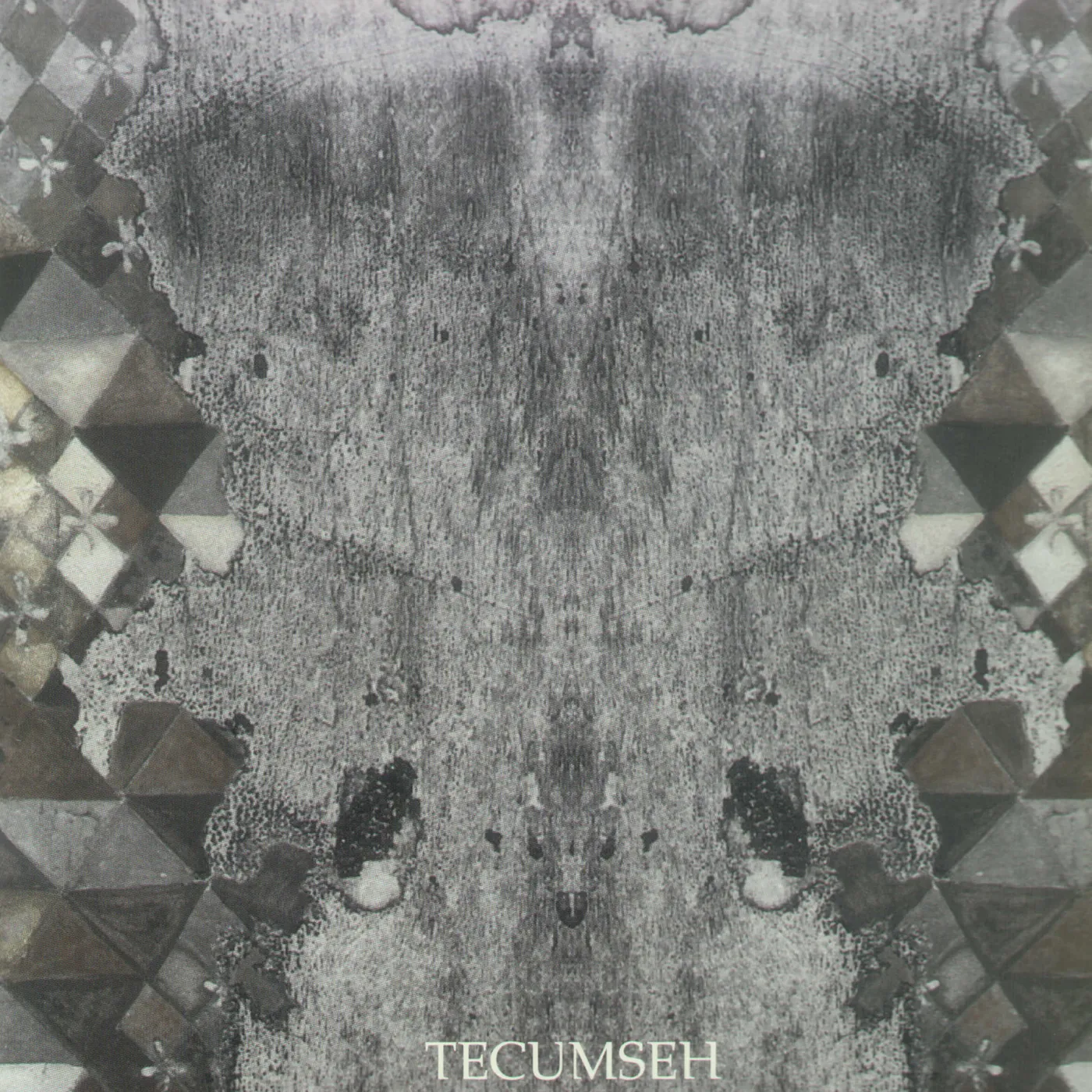 Tecumseh AVALANCHE & INUNDATION Vinyl Record