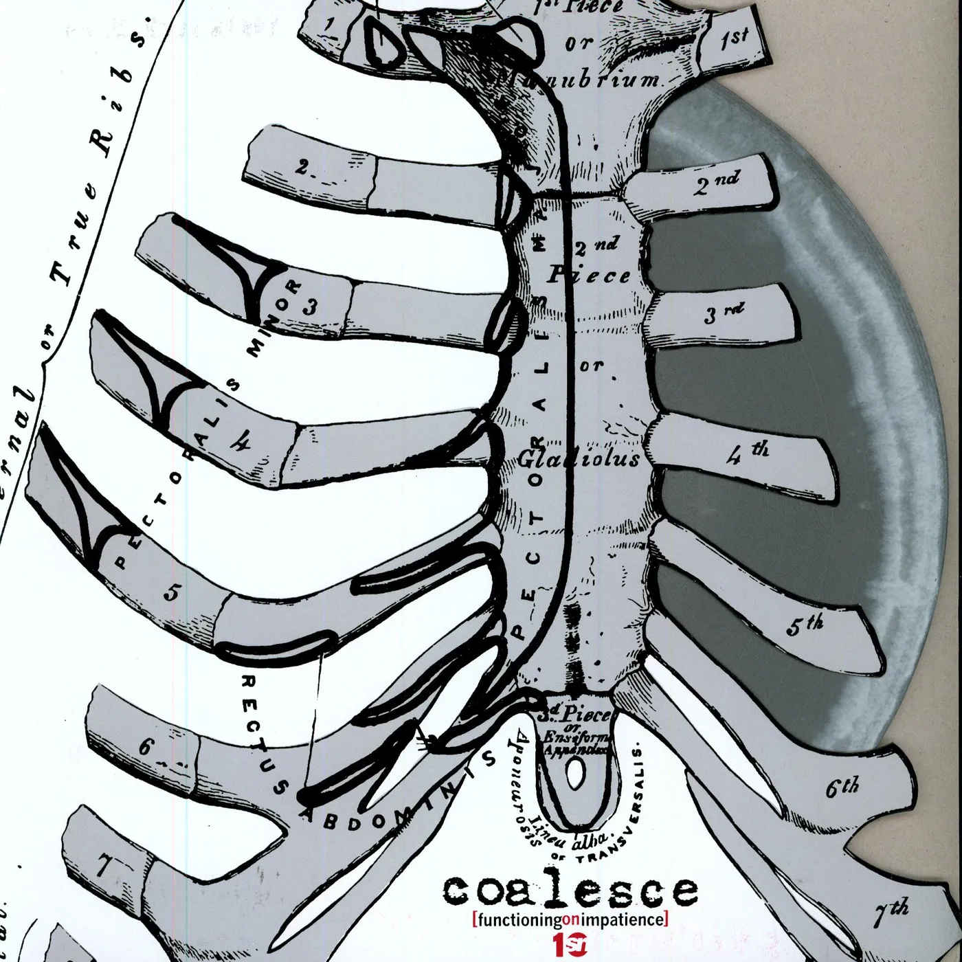 Coalesce Functioning on Impatience Vinyl Record