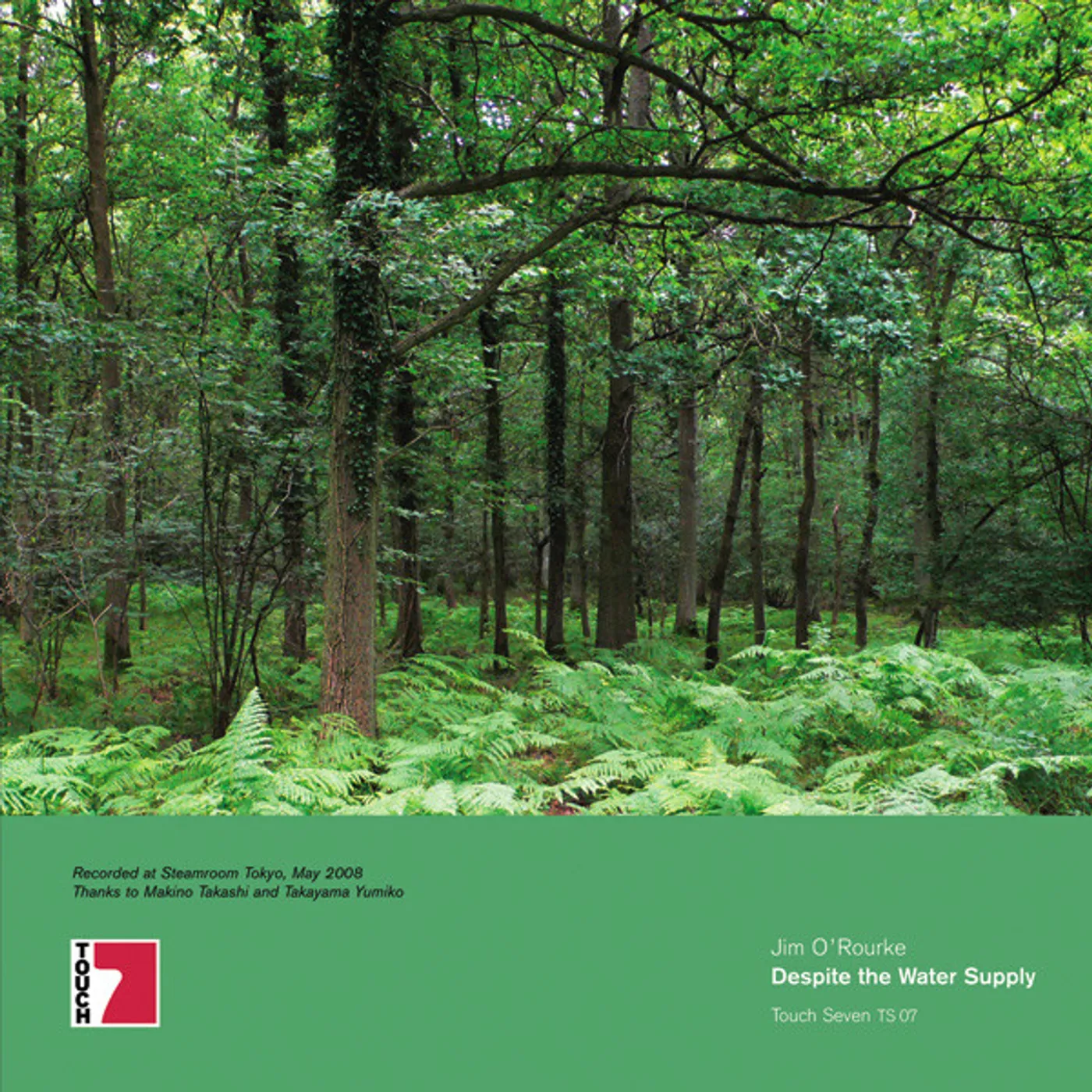 Jim O'Rourke DESPITE THE WATER SUPPLY Vinyl Record