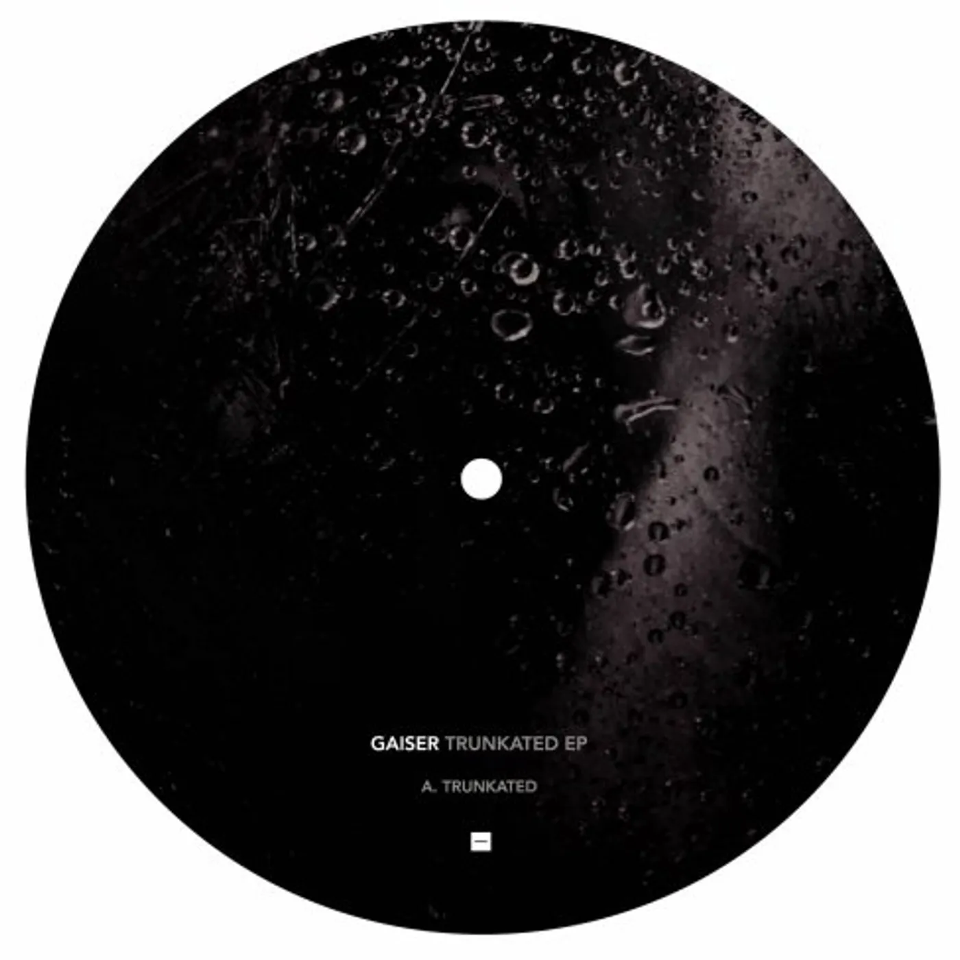 Gaiser Trunkated Vinyl Record