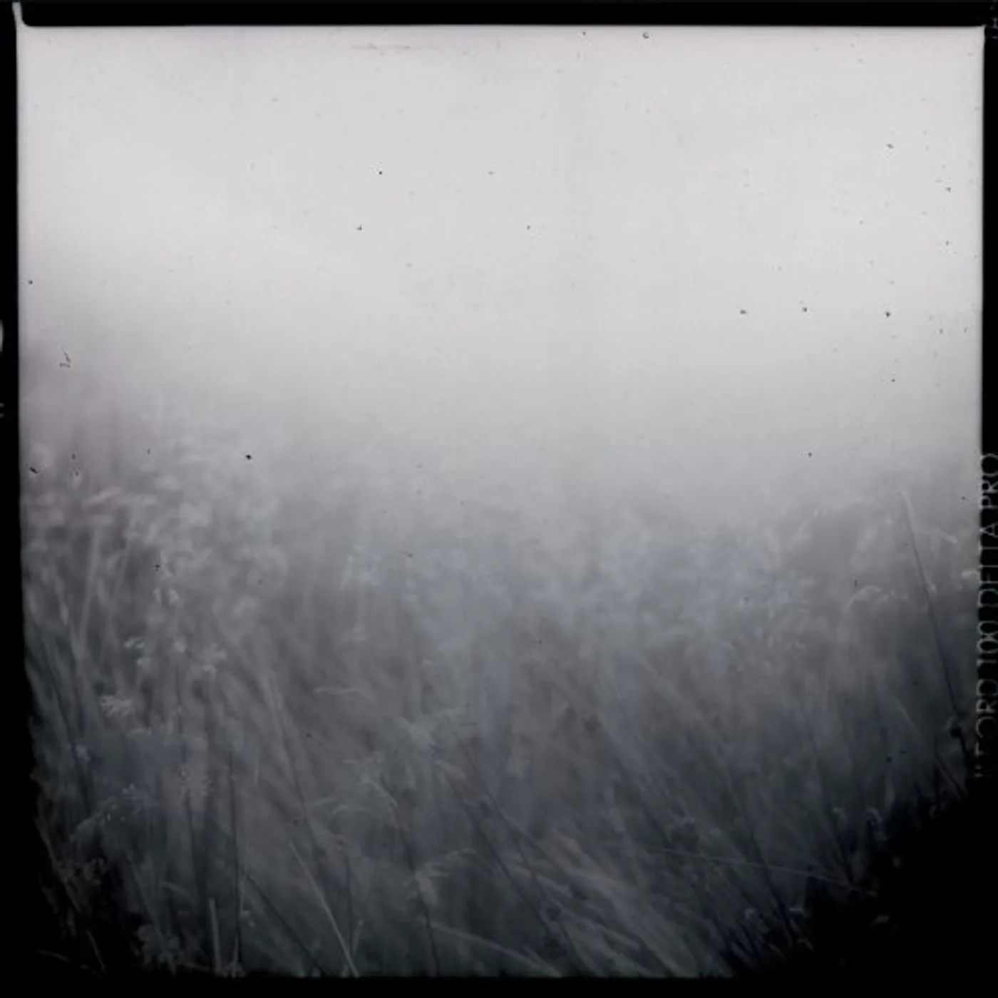 Sylvain Chauveau BLACK BOOK OF CAPITALISM CD