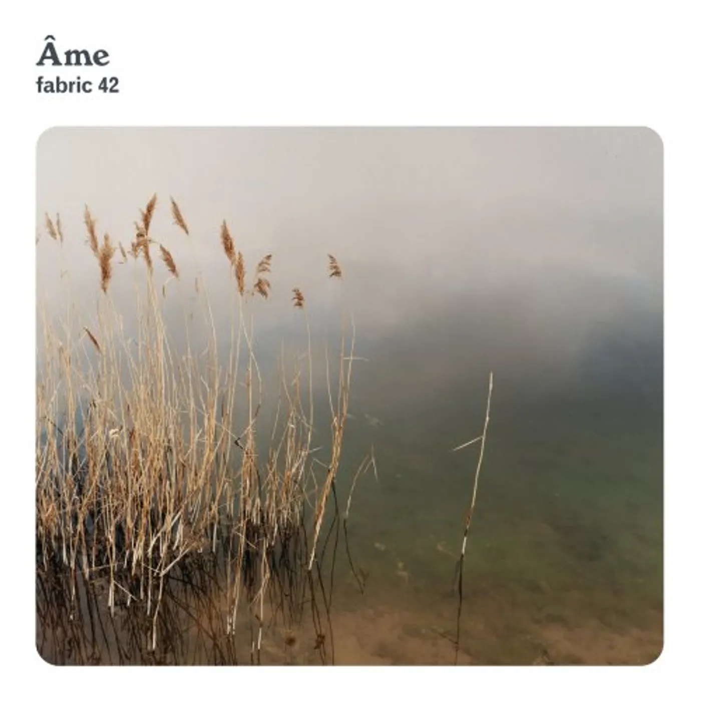 Ame FABRIC 42 CD