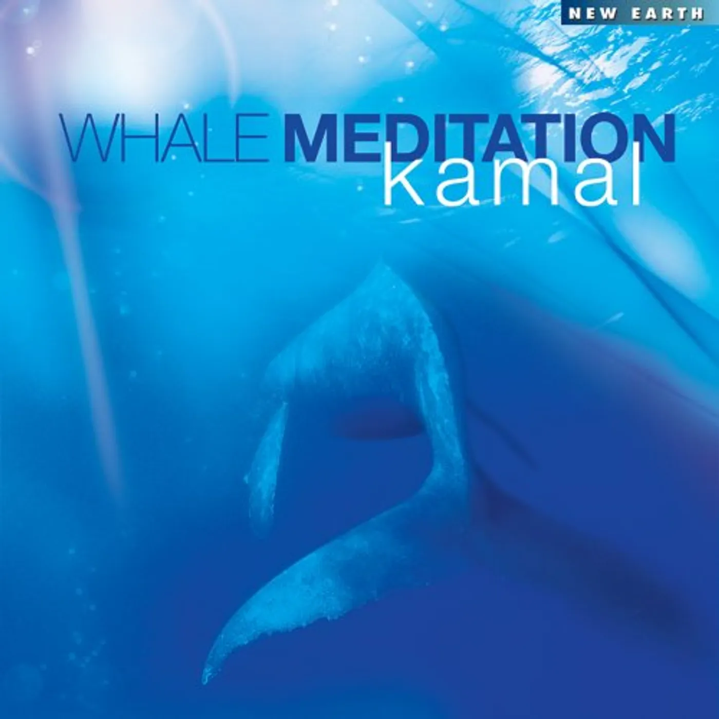 Kamal. WHALE MEDITATION CD