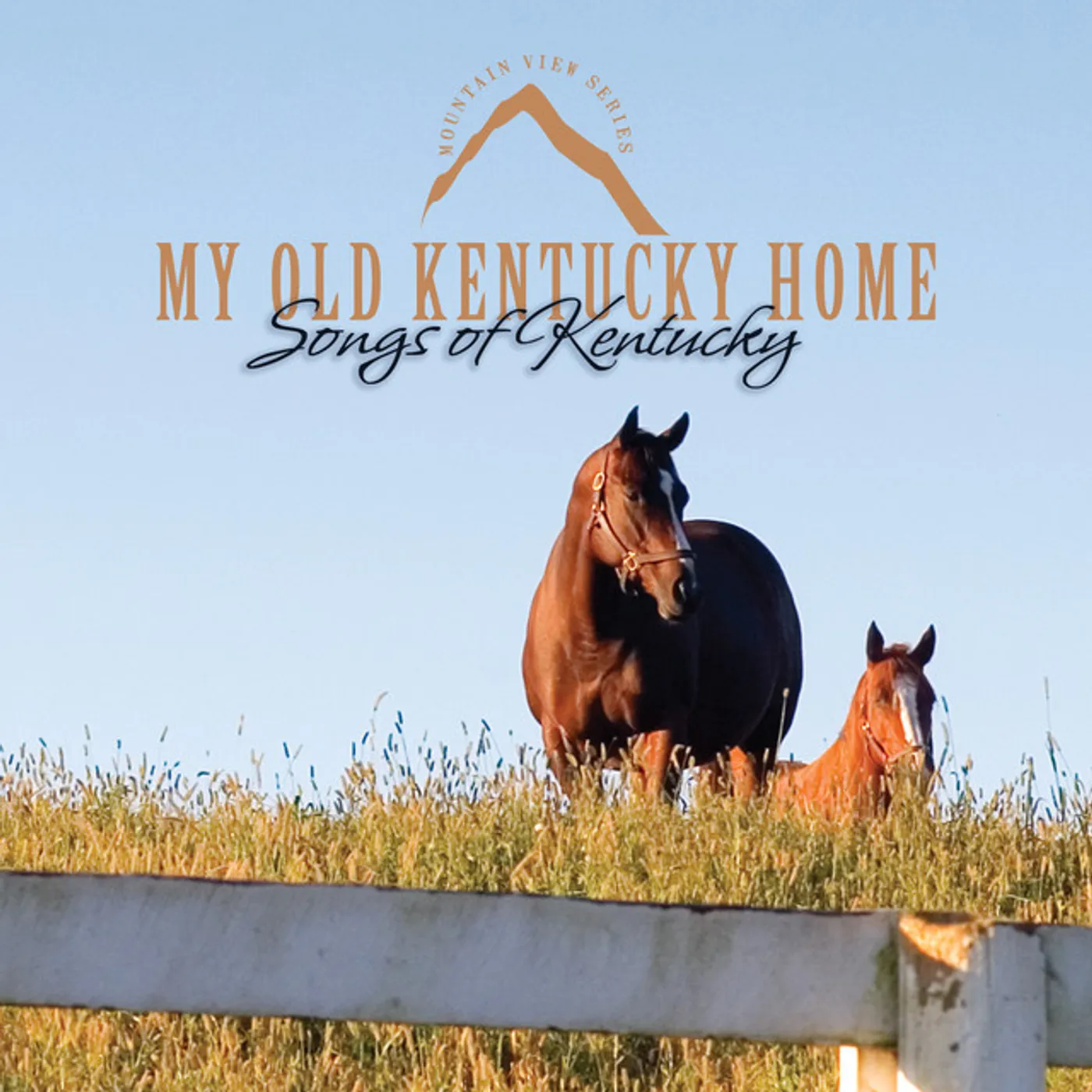 Kevin Williams MY OLD KENTUCKY HOME CD