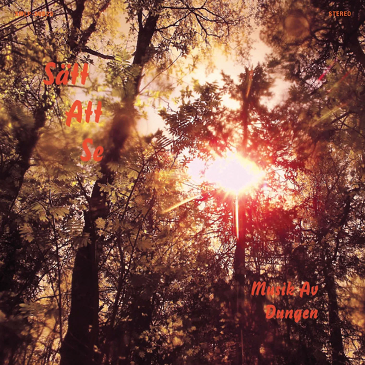 Dungen SATT ATT SE Vinyl Record