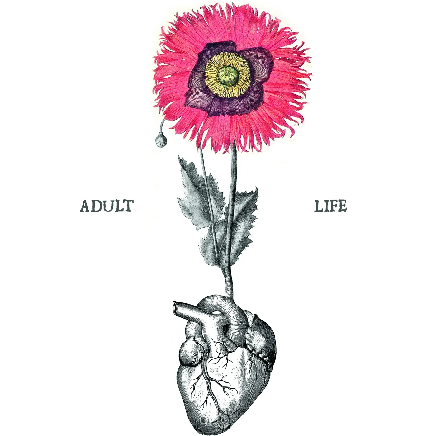 Carlos Giffoni ADULT LIFE CD