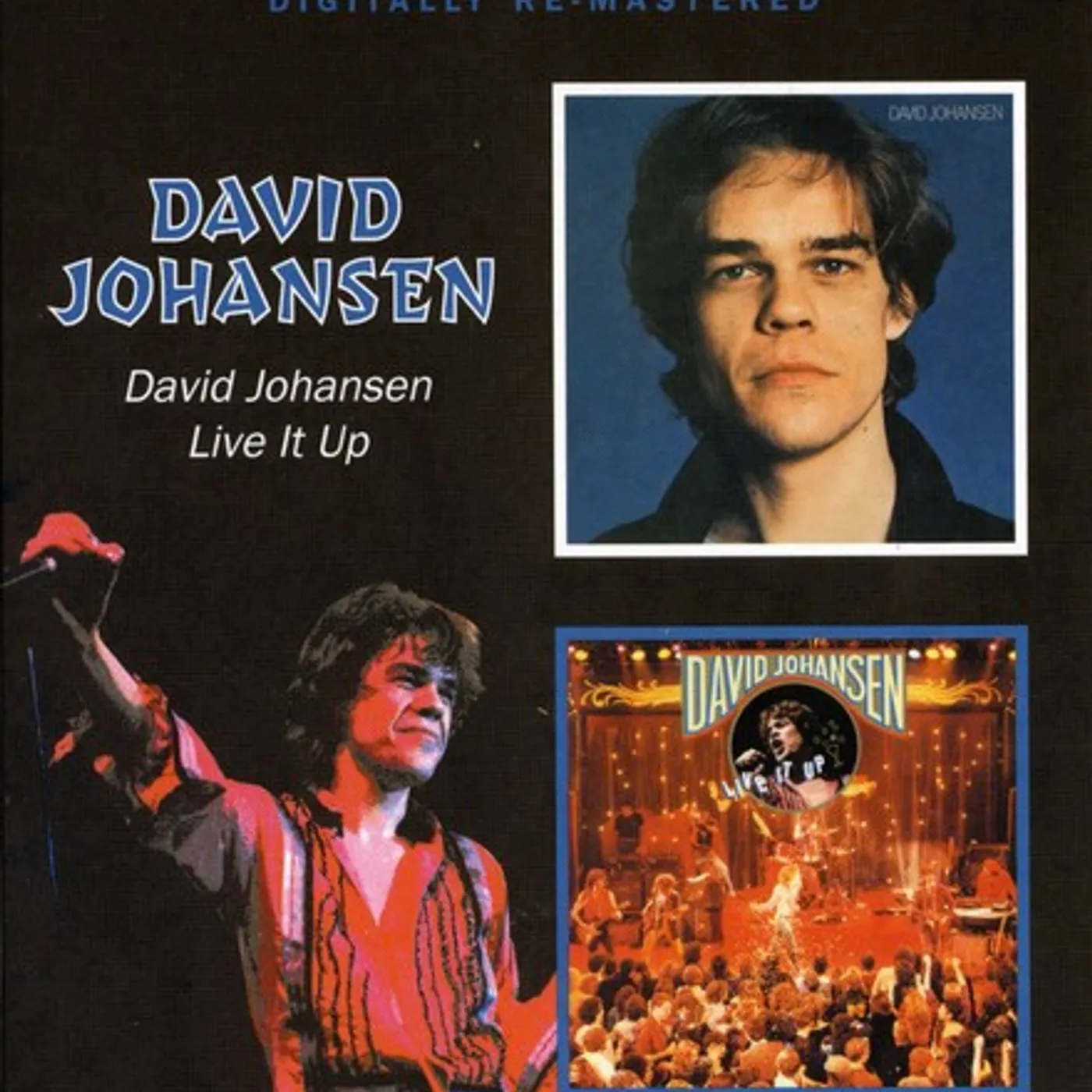 DAVID JOHANSEN / LIVE IT UP CD