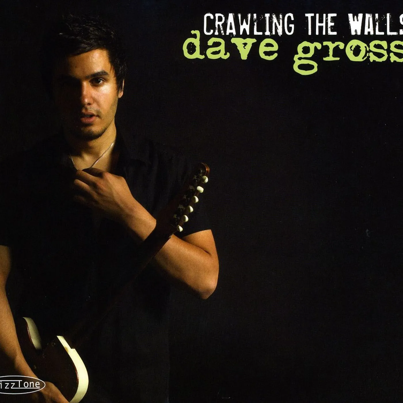 Dave Gross CRAWLING THE WALLS CD