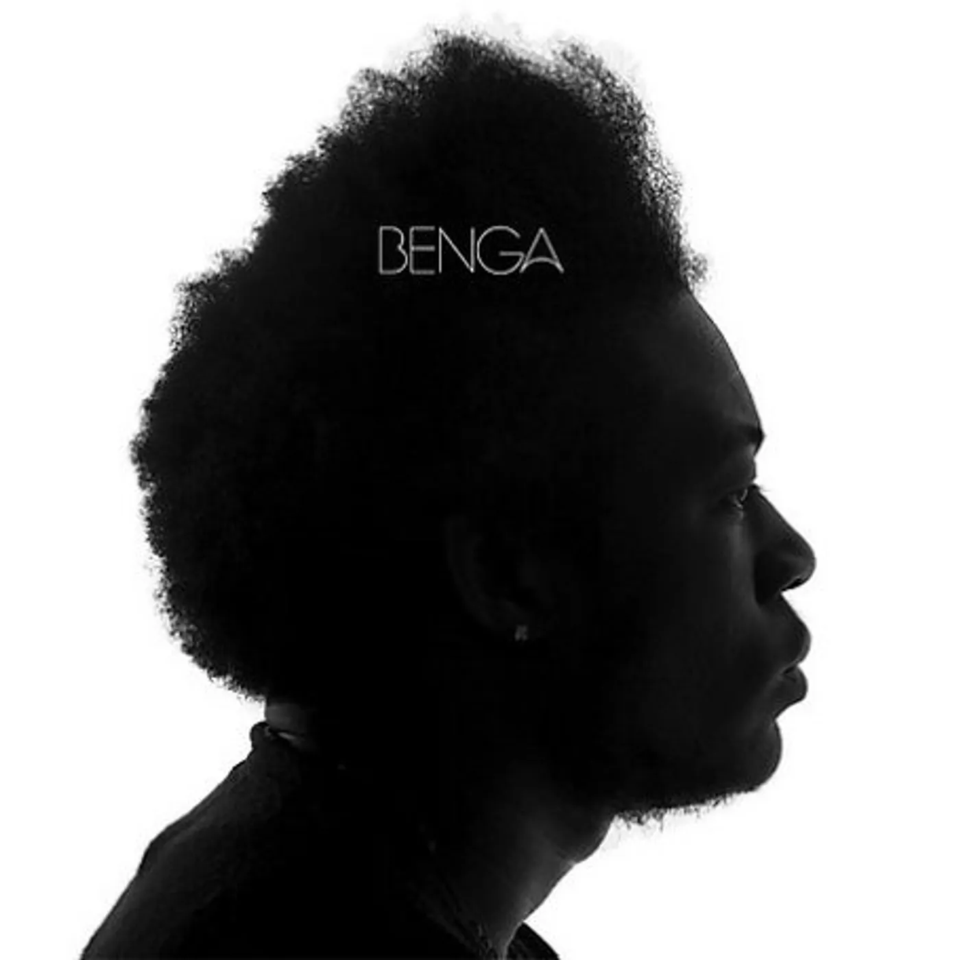 Benga Vinyl Record