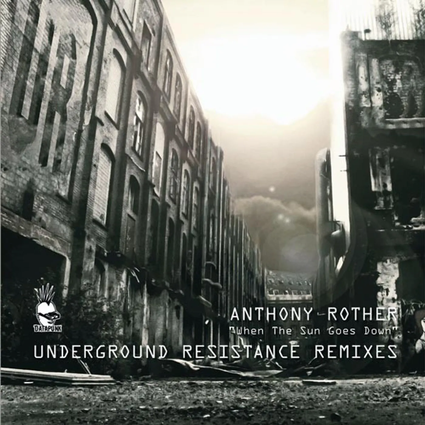 Anthony Rother WHEN THE SUN GOES DOWN (UNDERGROUND RESISTANCE) Vinyl Record