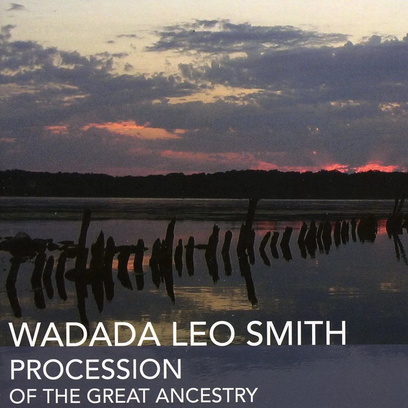 Wadada Leo Smith PROCESSION OF THE GREAT ANCESTRY CD