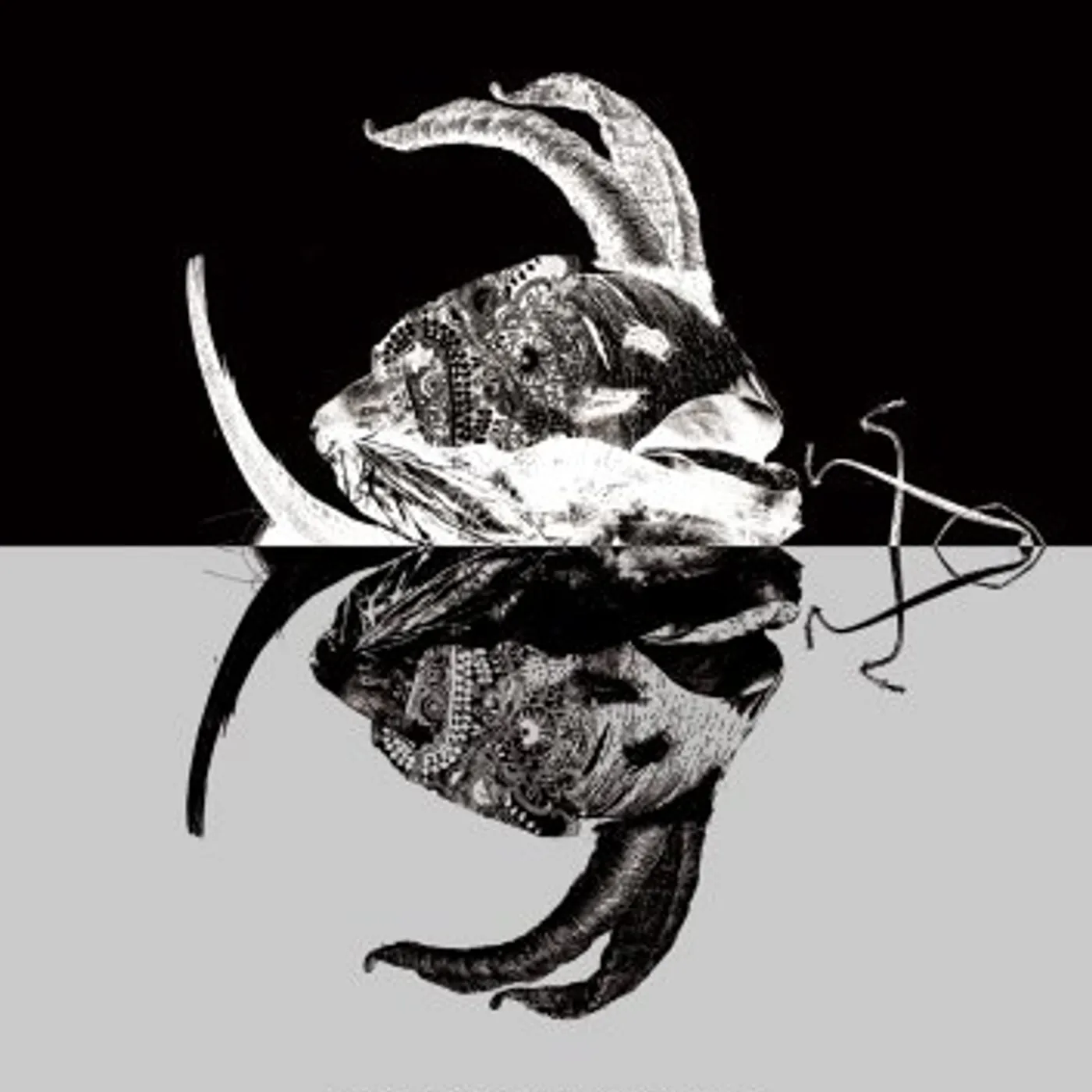 DIR EN GREY KNOT OF DVD