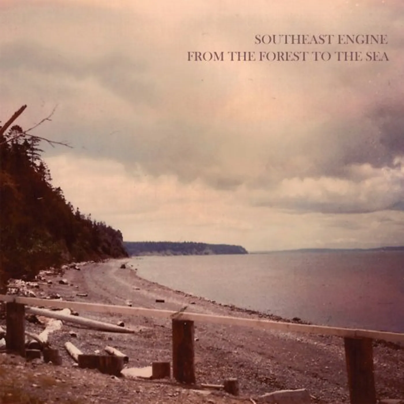 Southeast Engine From the Forest to the Sea Vinyl Record