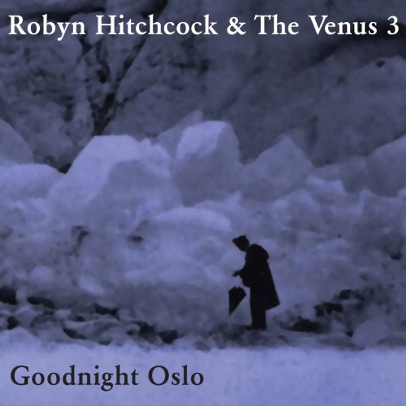 Robyn Hitchcock GOODNIGHT OSLO CD