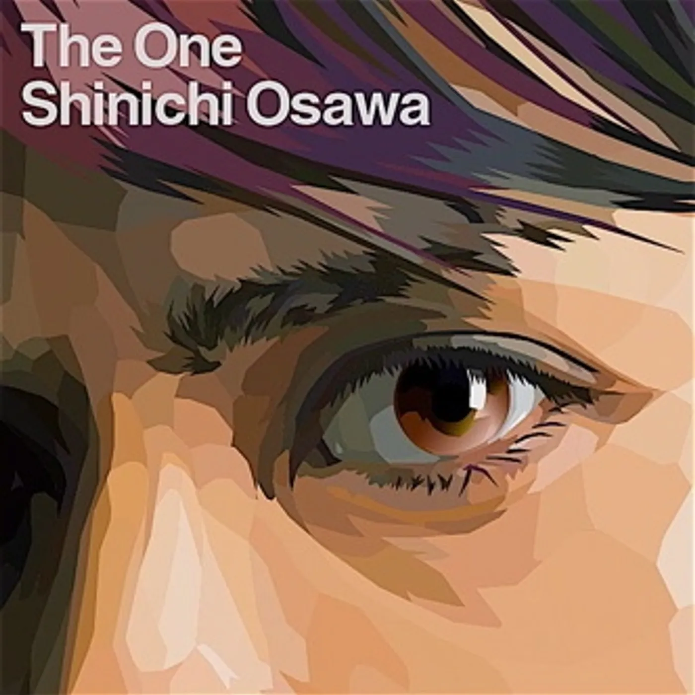 Shinichi Osawa ONE (Vinyl)