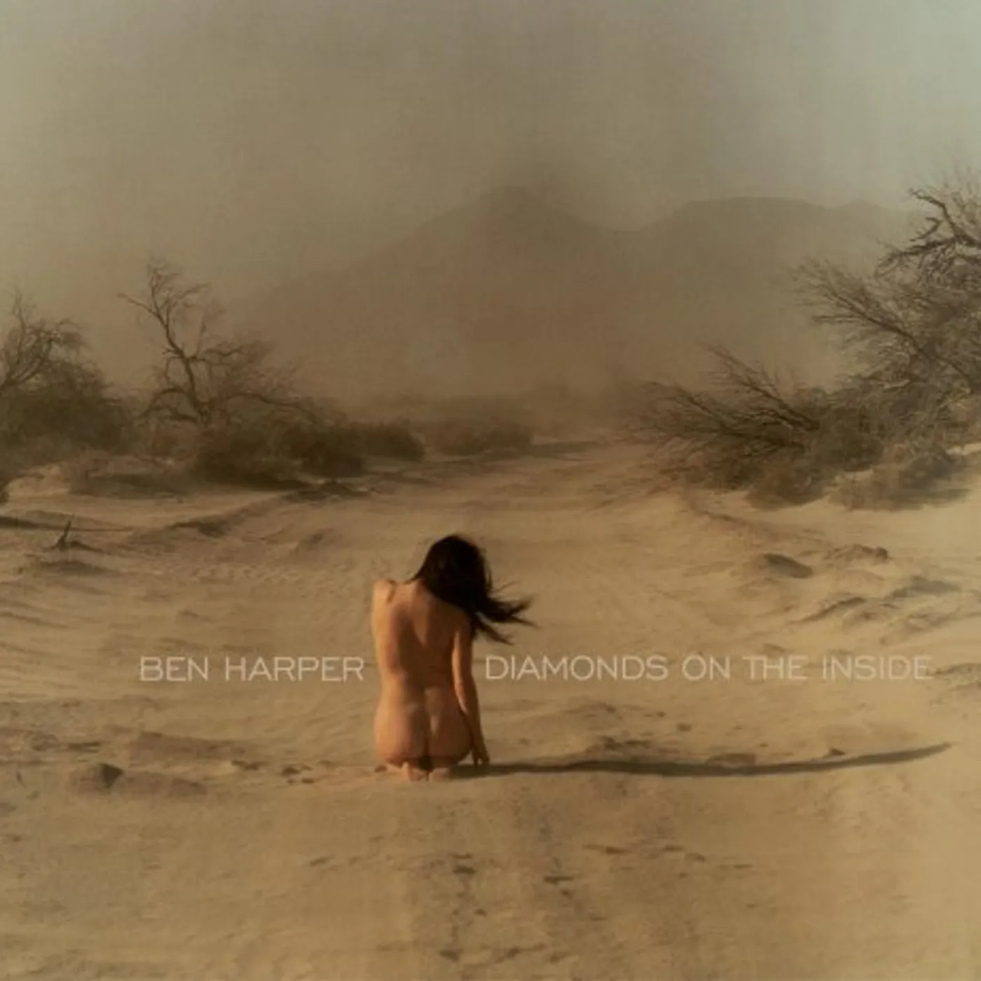 Ben Harper Diamonds On The Inside Vinyl Record