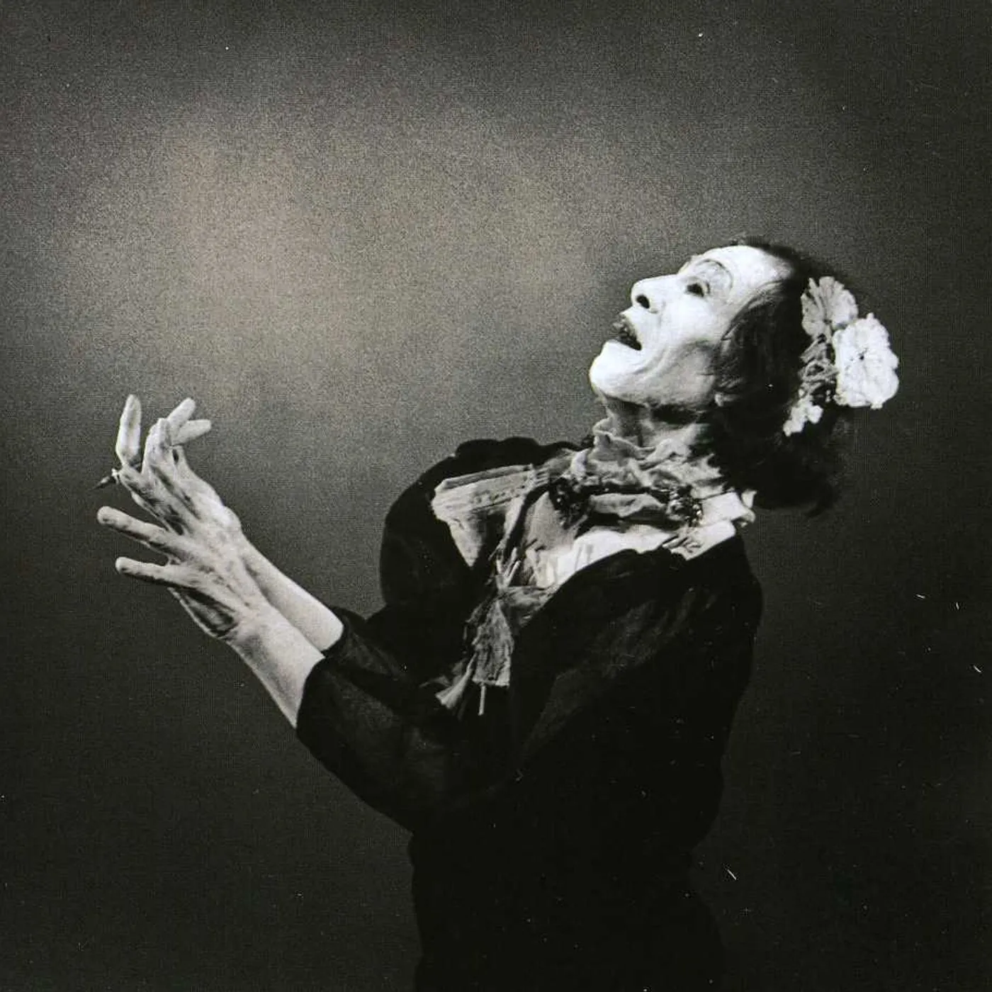 Antony and the Johnsons CRYING LIGHT CD