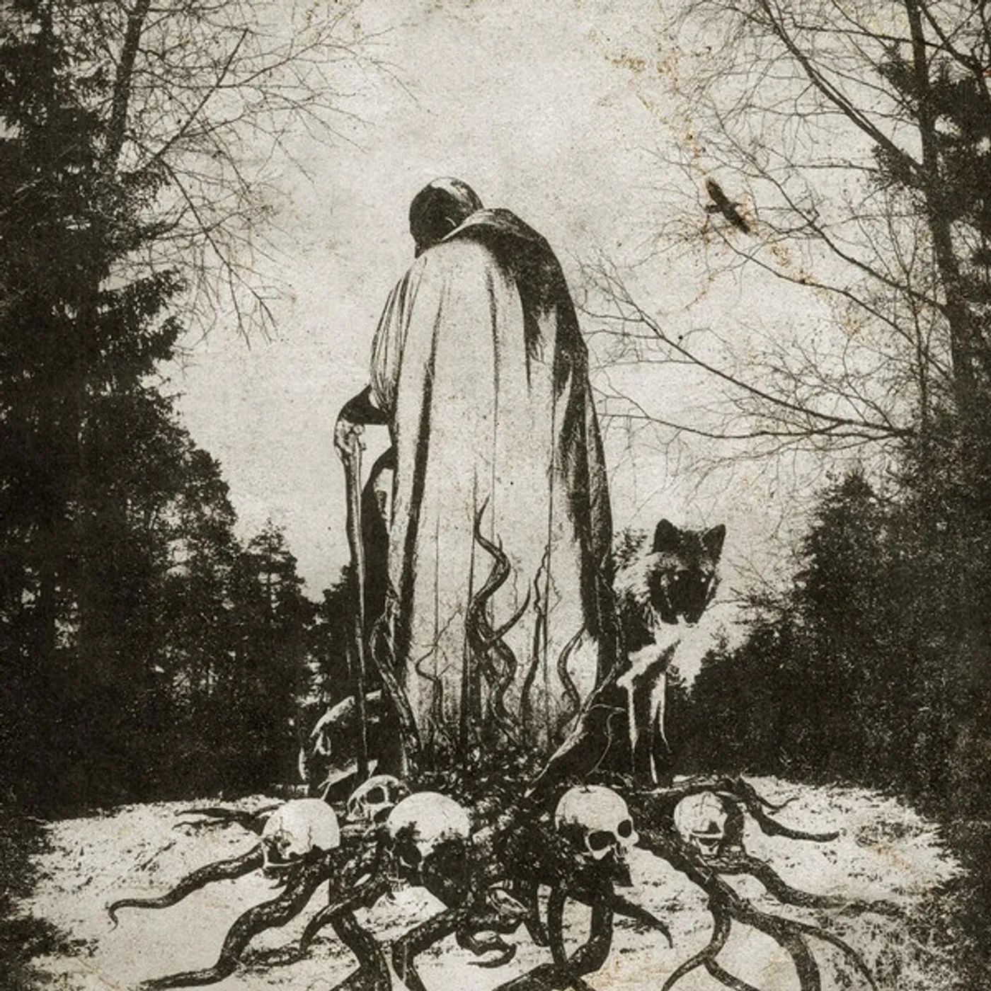 Tulus Biography Obscene Vinyl Record