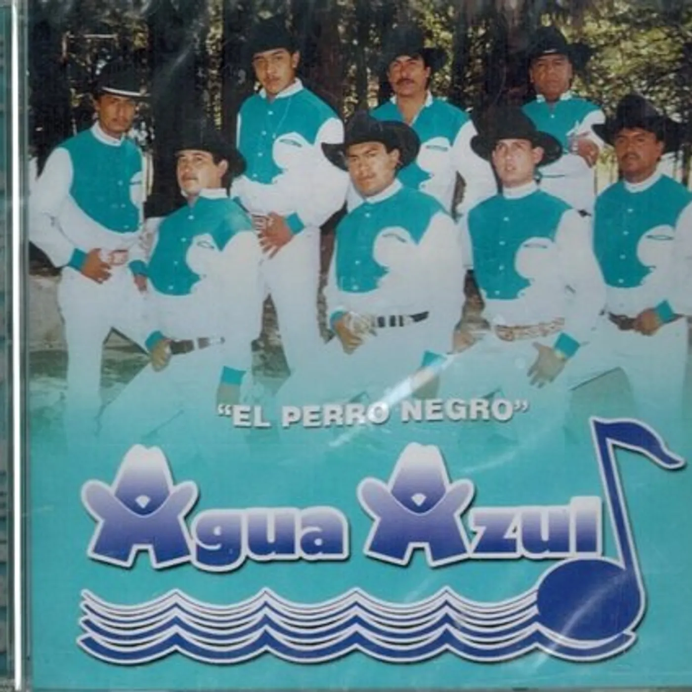 Agua Azul PERRO NEGRO CD