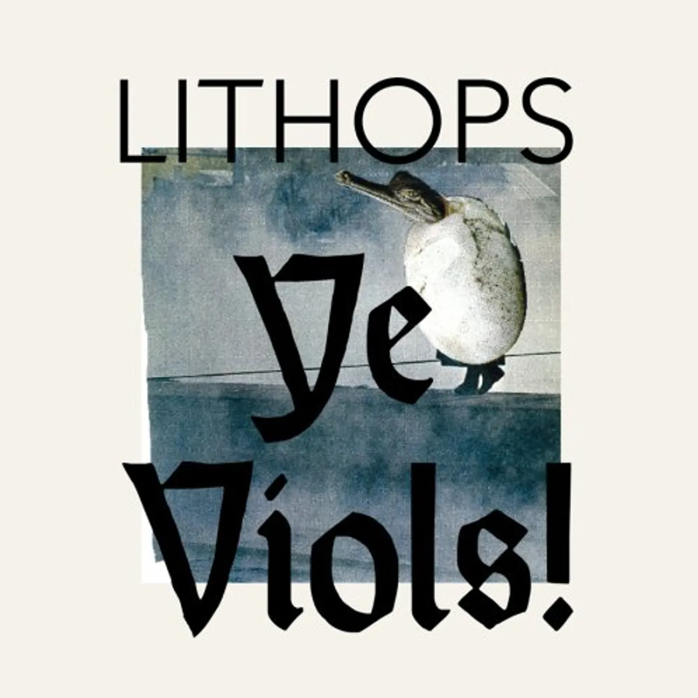 Lithops YE VIOLS Vinyl Record