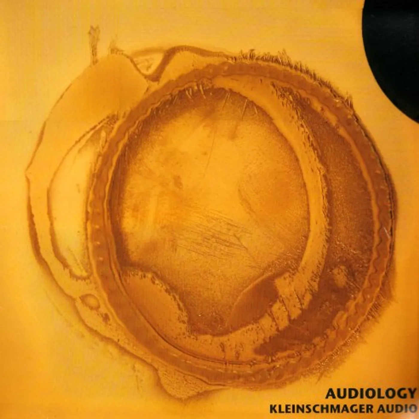 Kleinschmager Audio AUDIOLOGY Vinyl Record