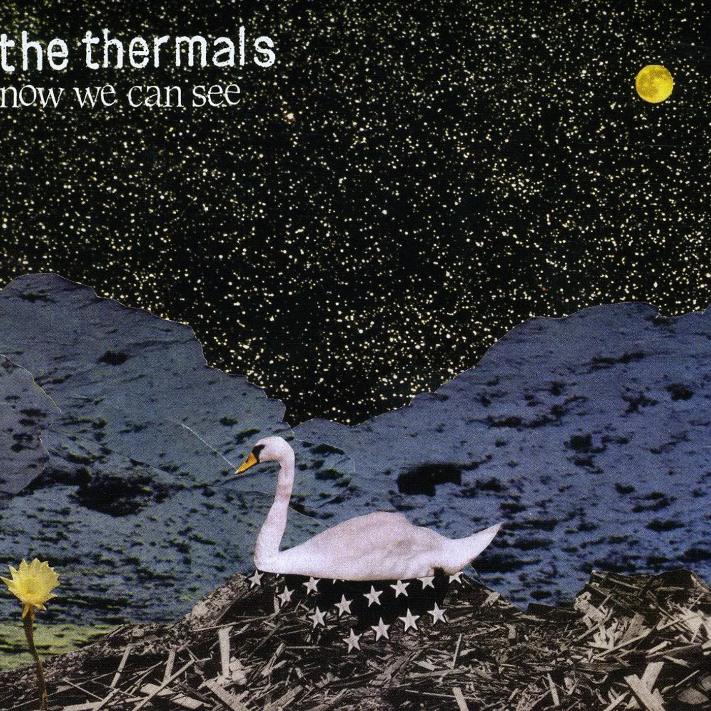 The Thermals NOW WE CAN SEE CD