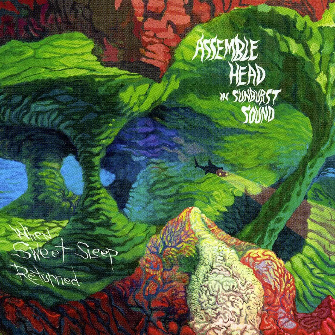 Assemble Head In Sunburst Sound WHEN SWEET SLEEP RETURNED CD