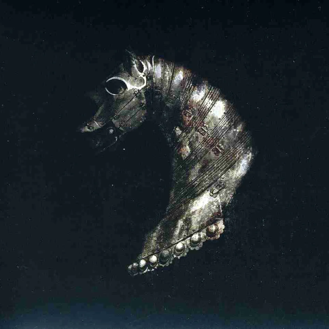 Black Math Horseman WYLLT CD