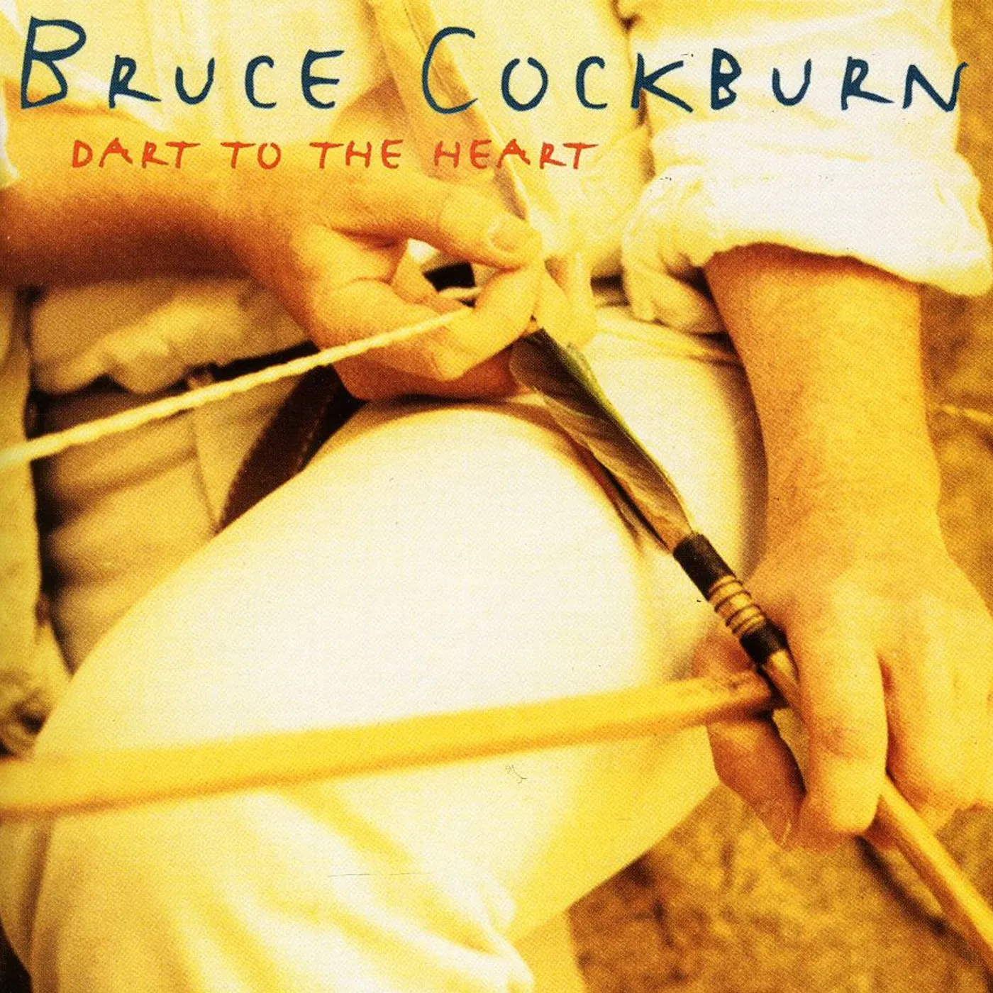 Bruce Cockburn DART TO THE HEART CD