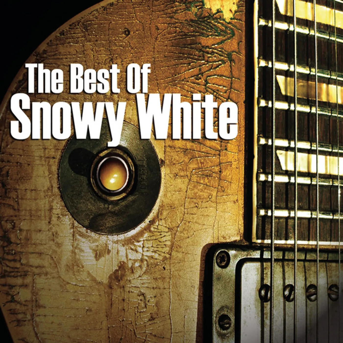BEST OF SNOWY WHITE CD
