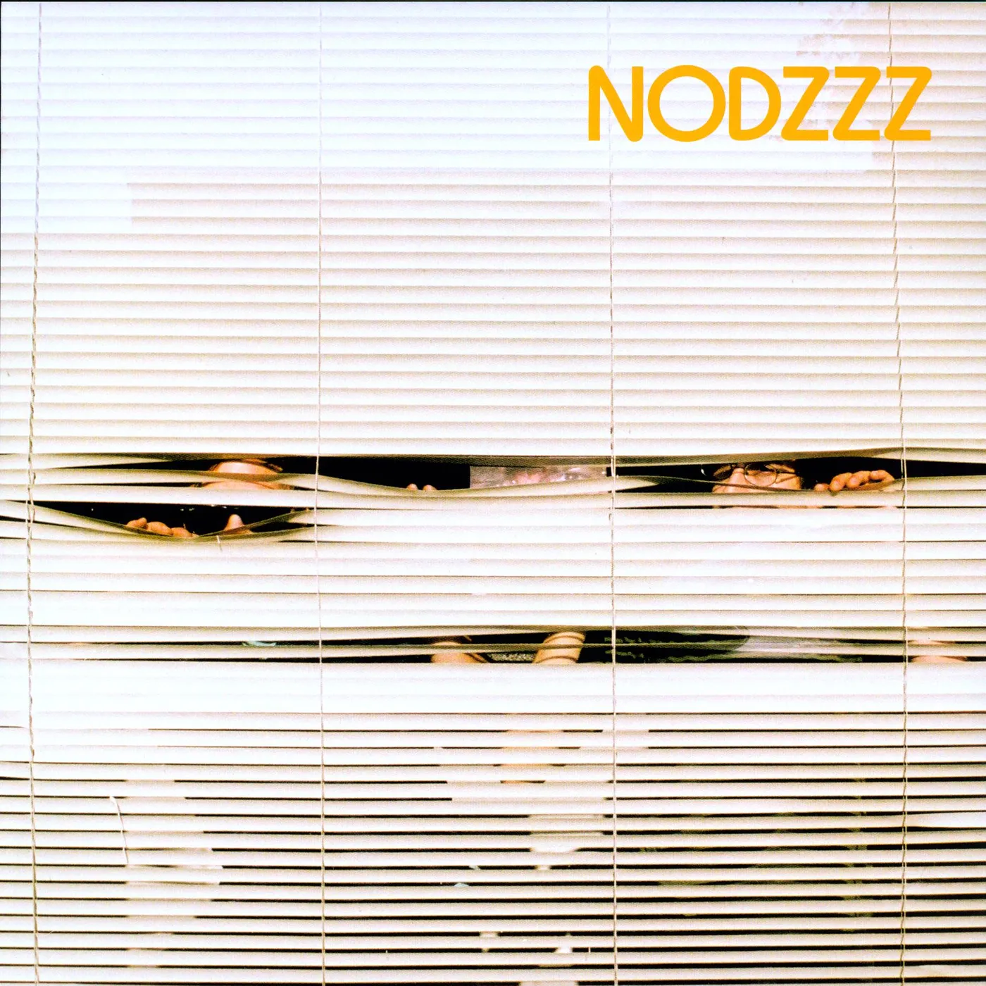 Nodzzz Vinyl Record