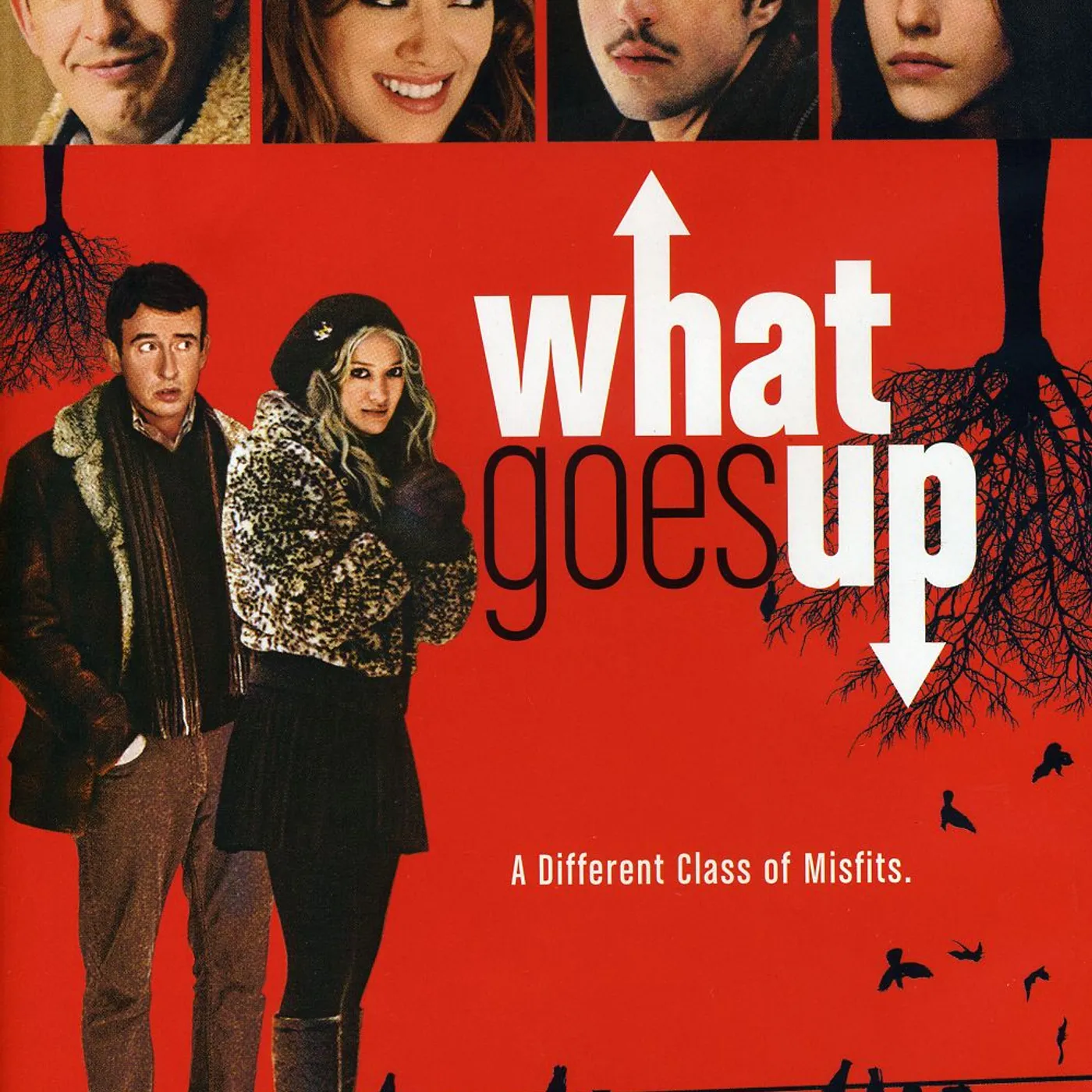 WHAT GOES UP DVD
