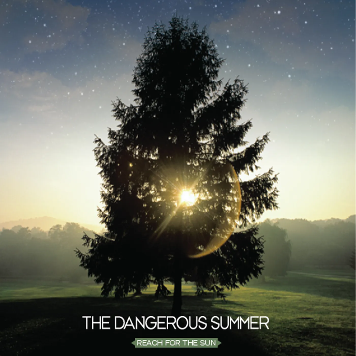The Dangerous Summer REACH FOR THE SUN (DIG) CD