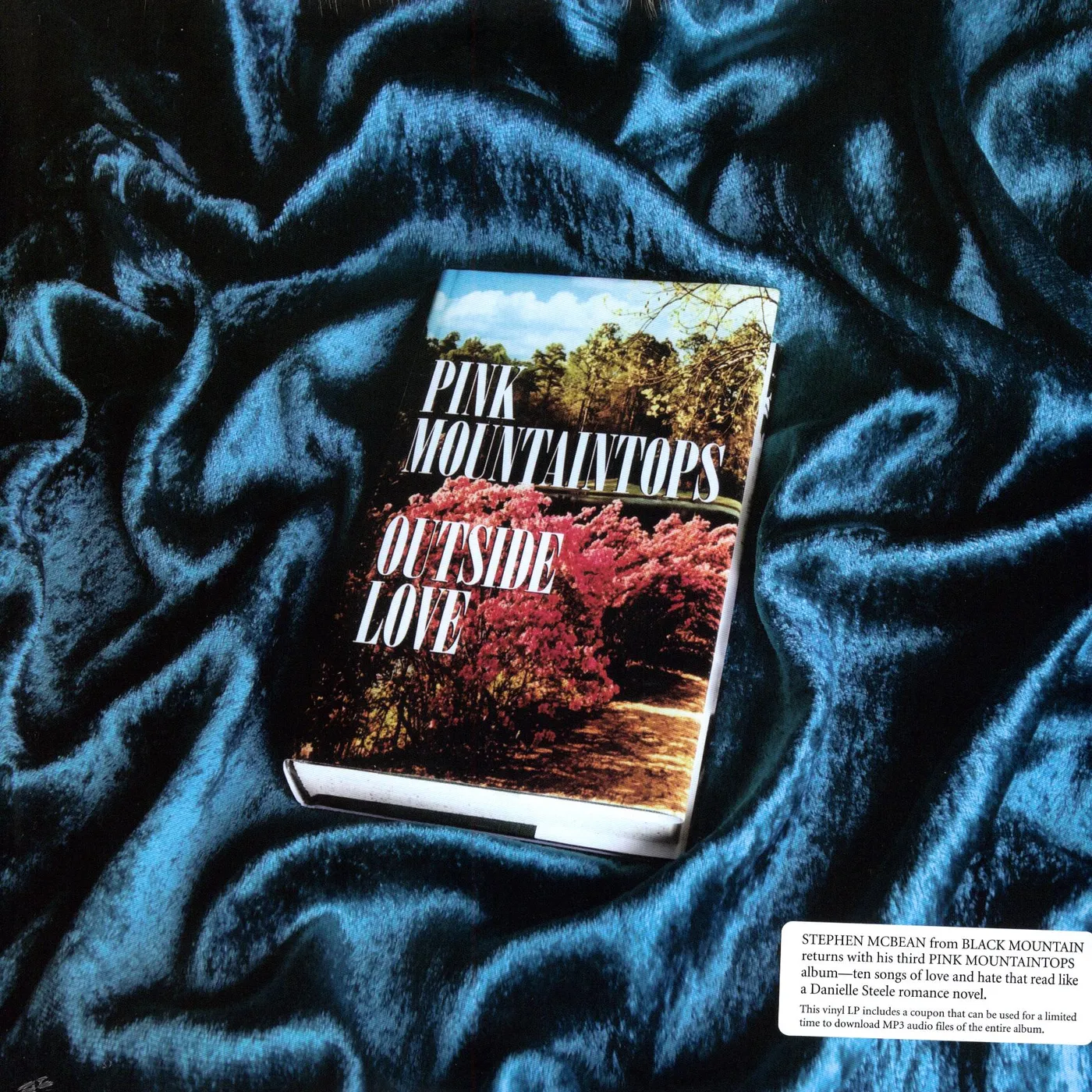 Pink Mountaintops Outside Love Vinyl Record