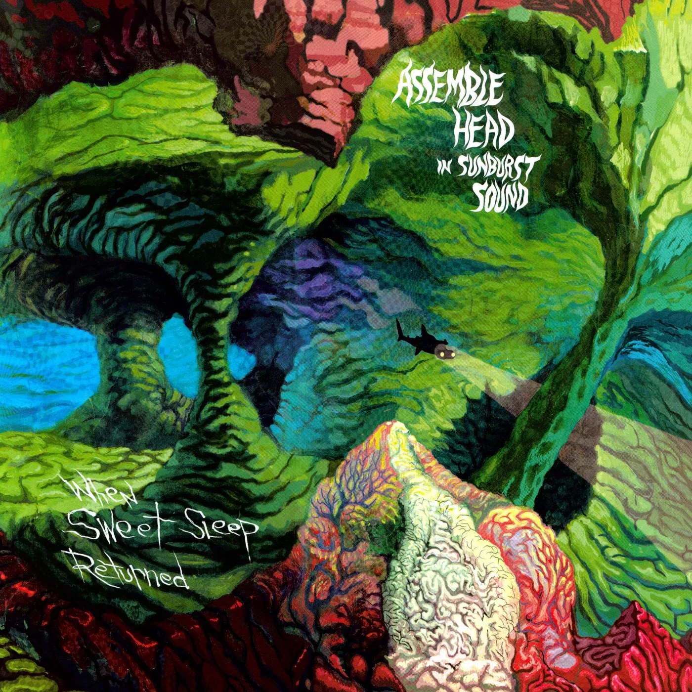 Assemble Head In Sunburst Sound When Sweet Sleep Returned Vinyl Record