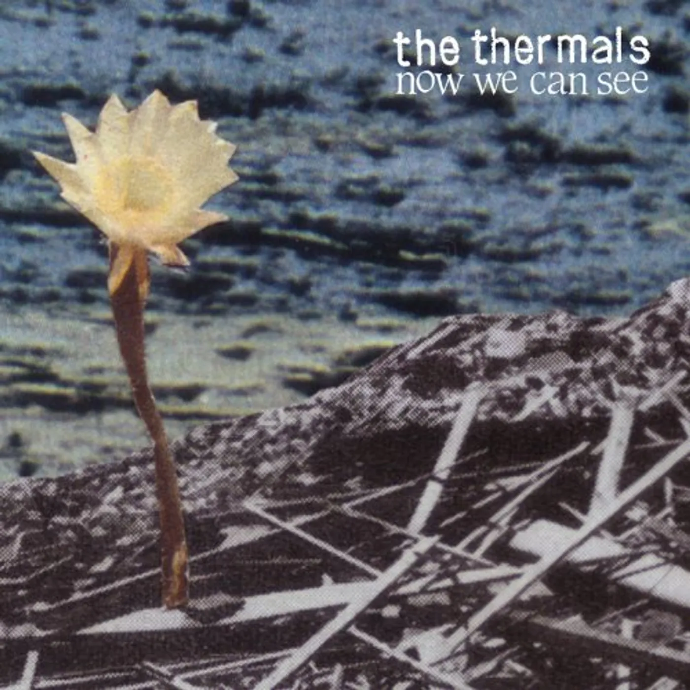 The Thermals Now We Can See Vinyl Record