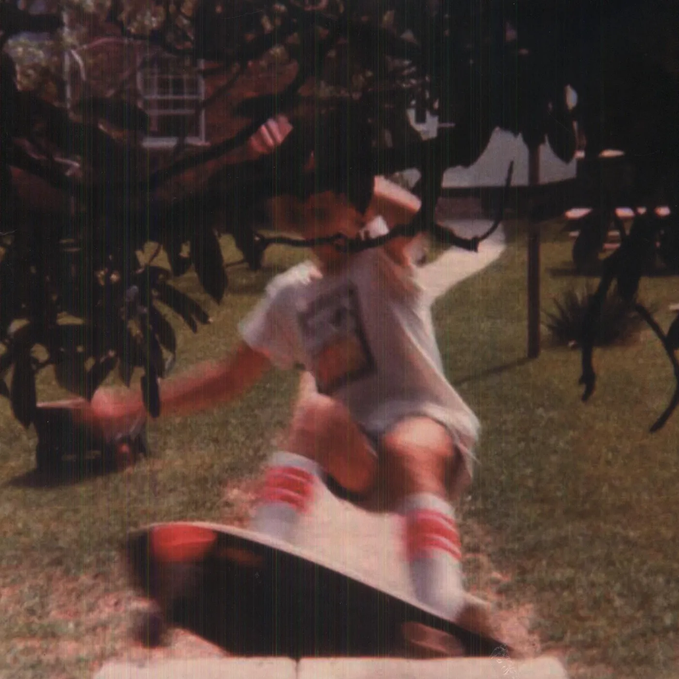 Wavves Wavvves Vinyl Record