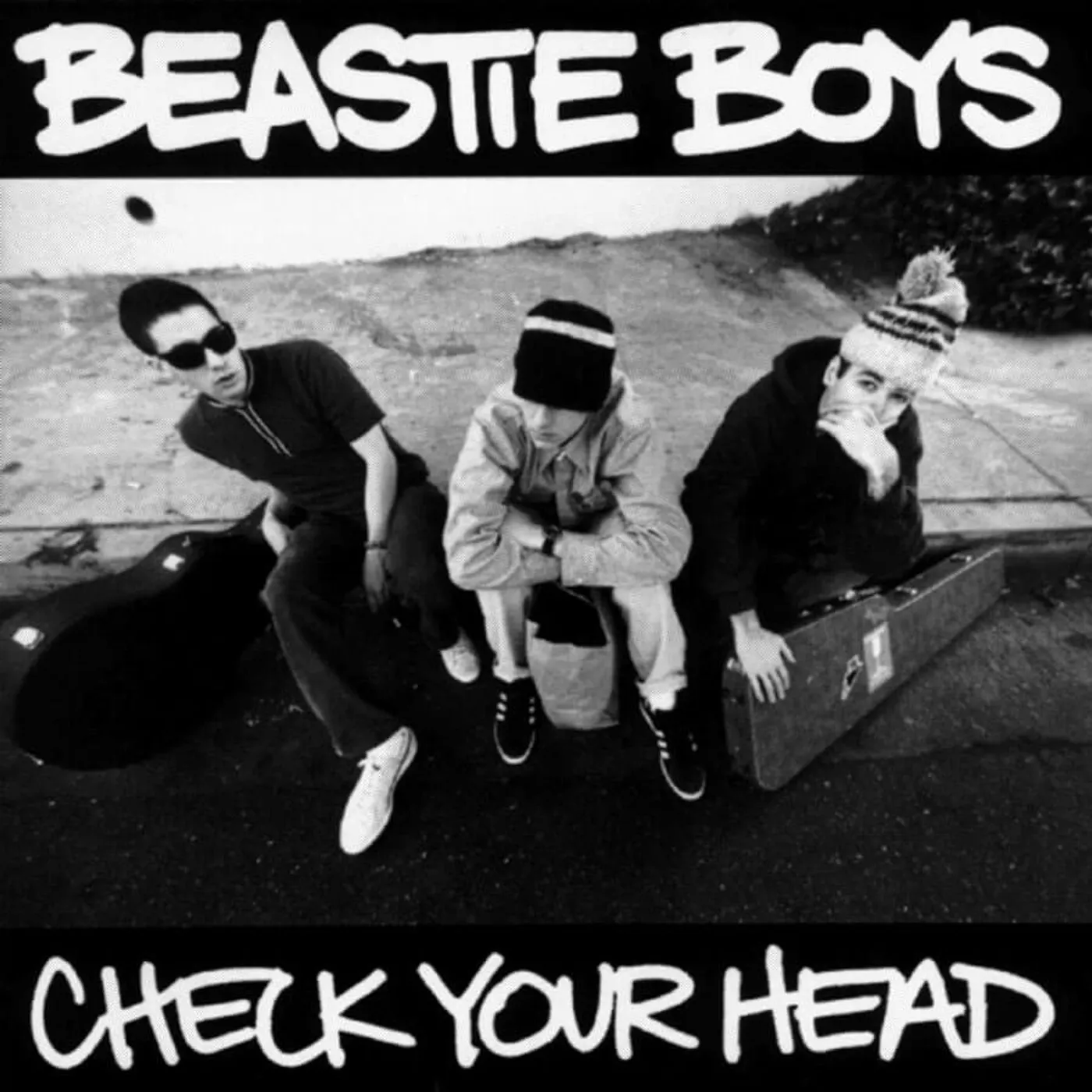 Beastie Boys Check Your Head Vinyl Record
