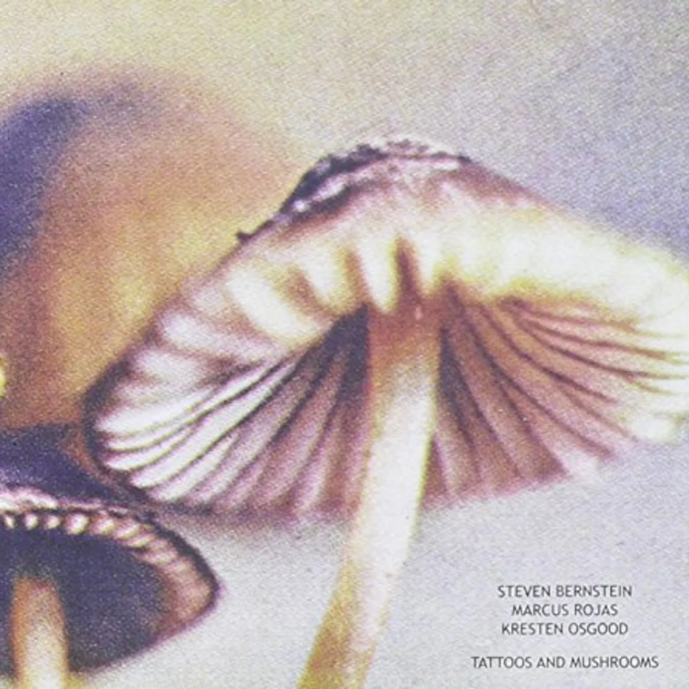 Bernstein TATTOOS & MUSHROOMS CD