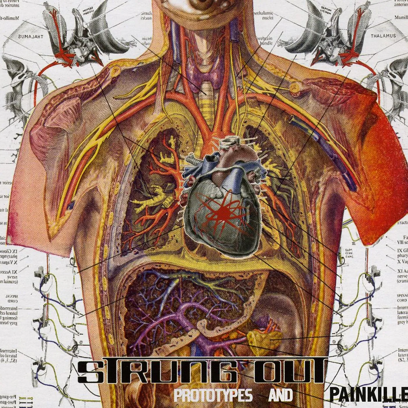 Strung Out PROTOTYPES & PAINKILLERS CD