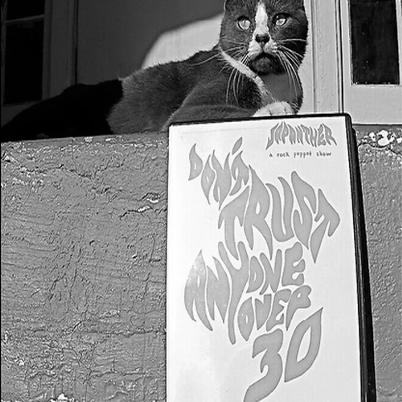 Japanther DON'T TRUST ANYONE OVER 30 DVD