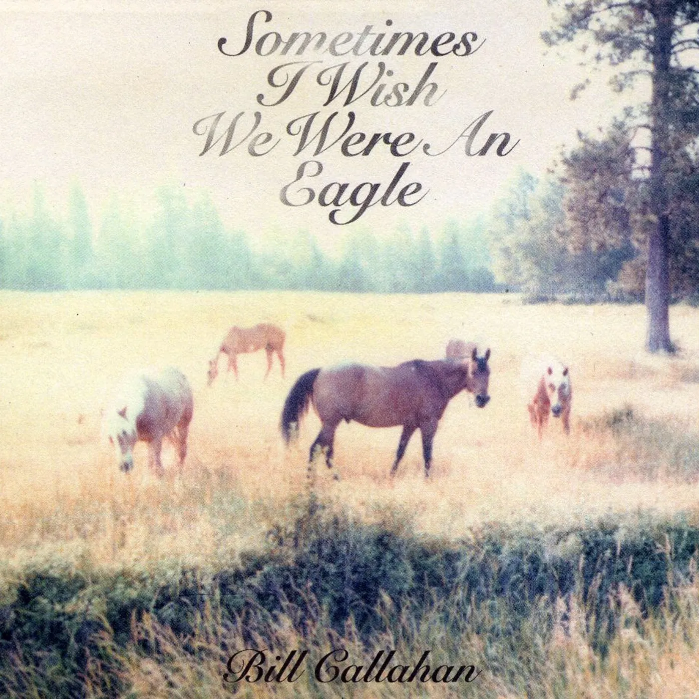 Bill Callahan SOMETIMES I WISH WE WERE AN EAGLE CD