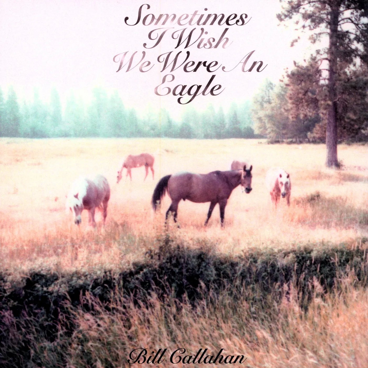 Bill Callahan Sometimes I Wish We Were An Eagle Vinyl Record