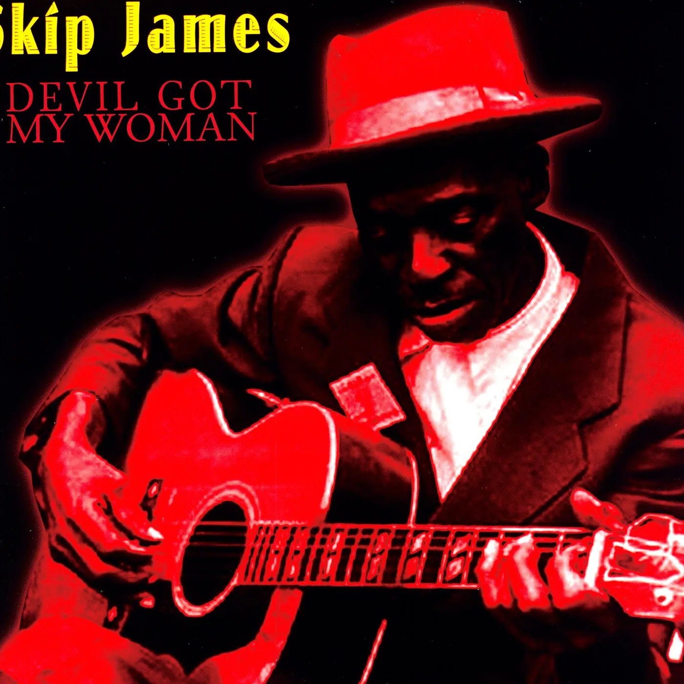 Skip James Devil Got My Woman Vinyl Record