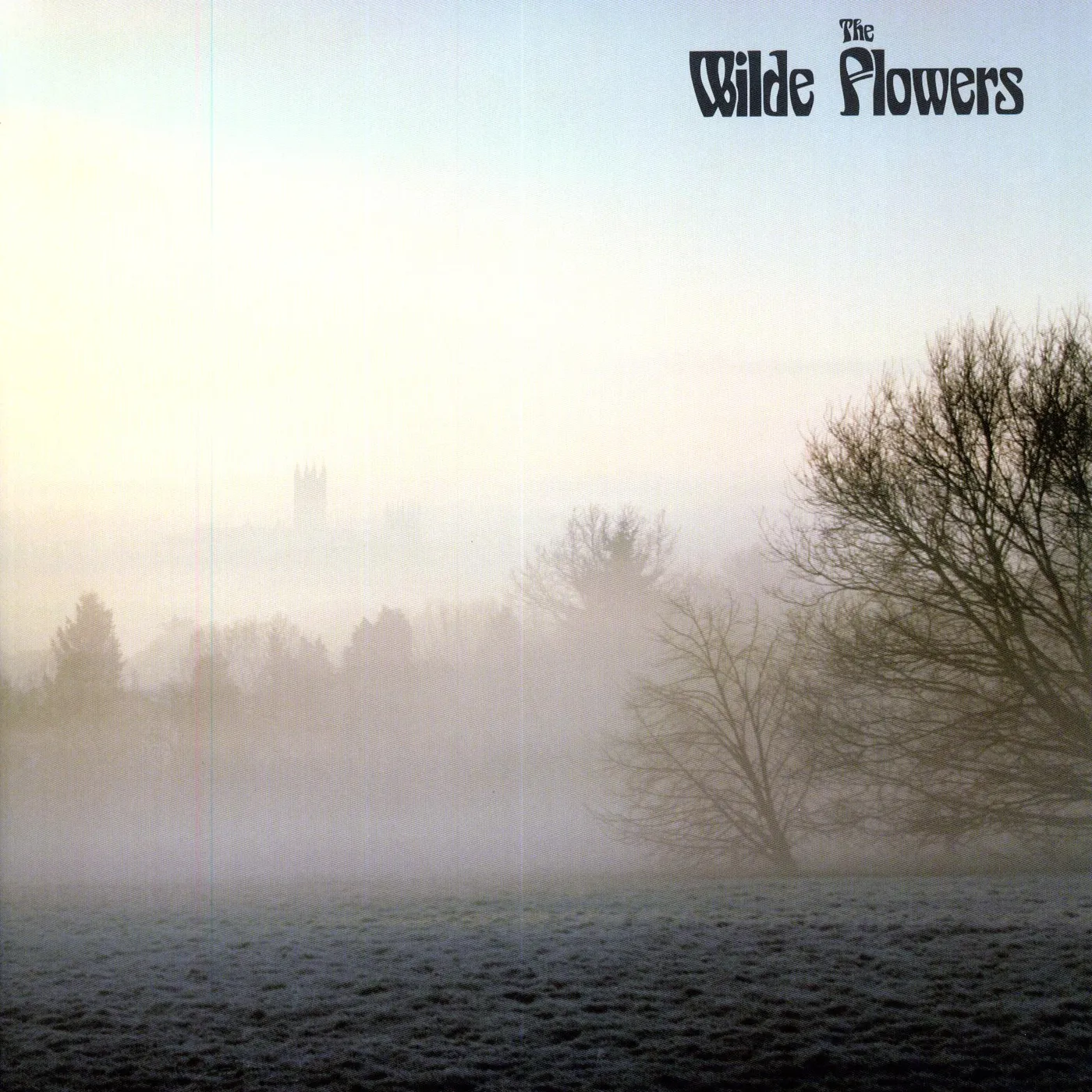 The Wilde Flowers Vinyl Record - 180 Gram Pressing