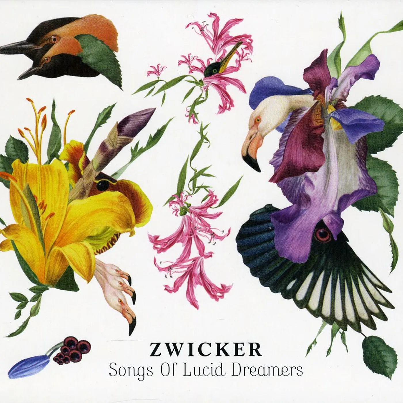 Zwicker SONGS OF LUCID DREAMERS CD